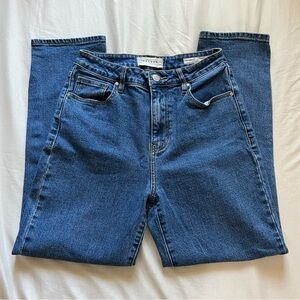 Pacsun Blue Denim Mom Jeans
